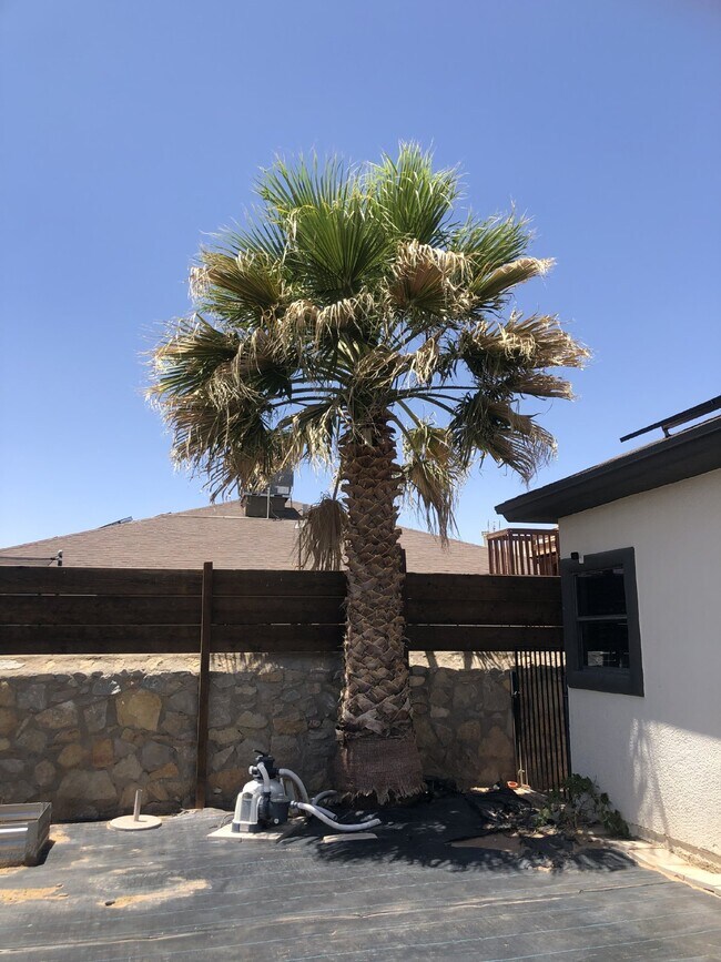 Building Photo - 3132 Tunnel Point Way