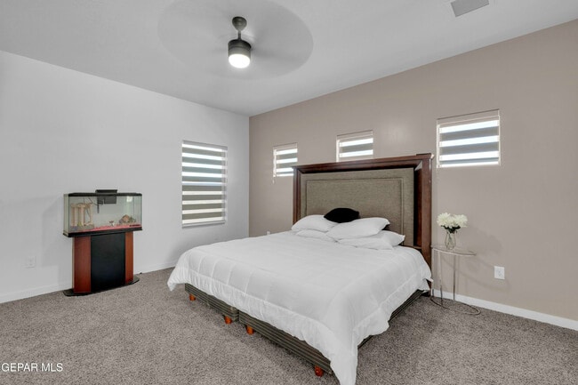 Building Photo - 12713 Captain Claudia CT