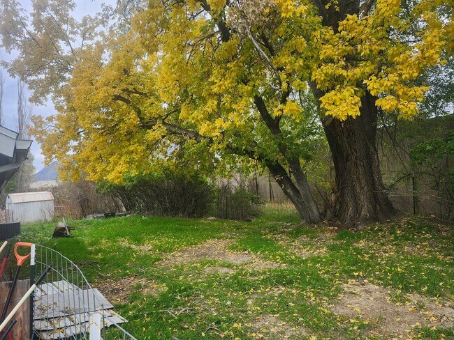 Building Photo - 4 Bed/2 Bathroom house in Farr West