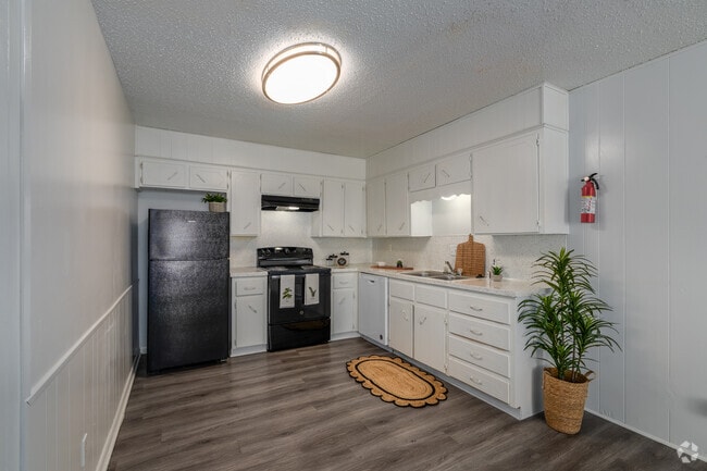 2BR, 1BA - 720 - Kitchen - Lakeview Killeen