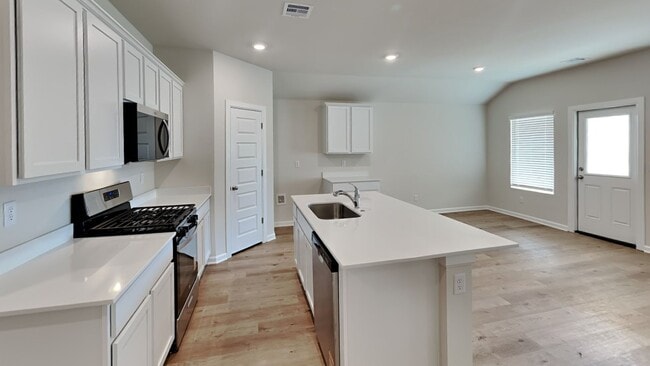 Building Photo - BRAND NEW 4 Bedroom 2 Bath Home in Piedmont Schools