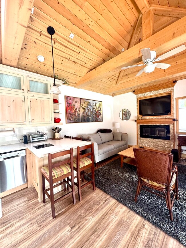 Electric fireplace and inset TV - 1134 Stanford St