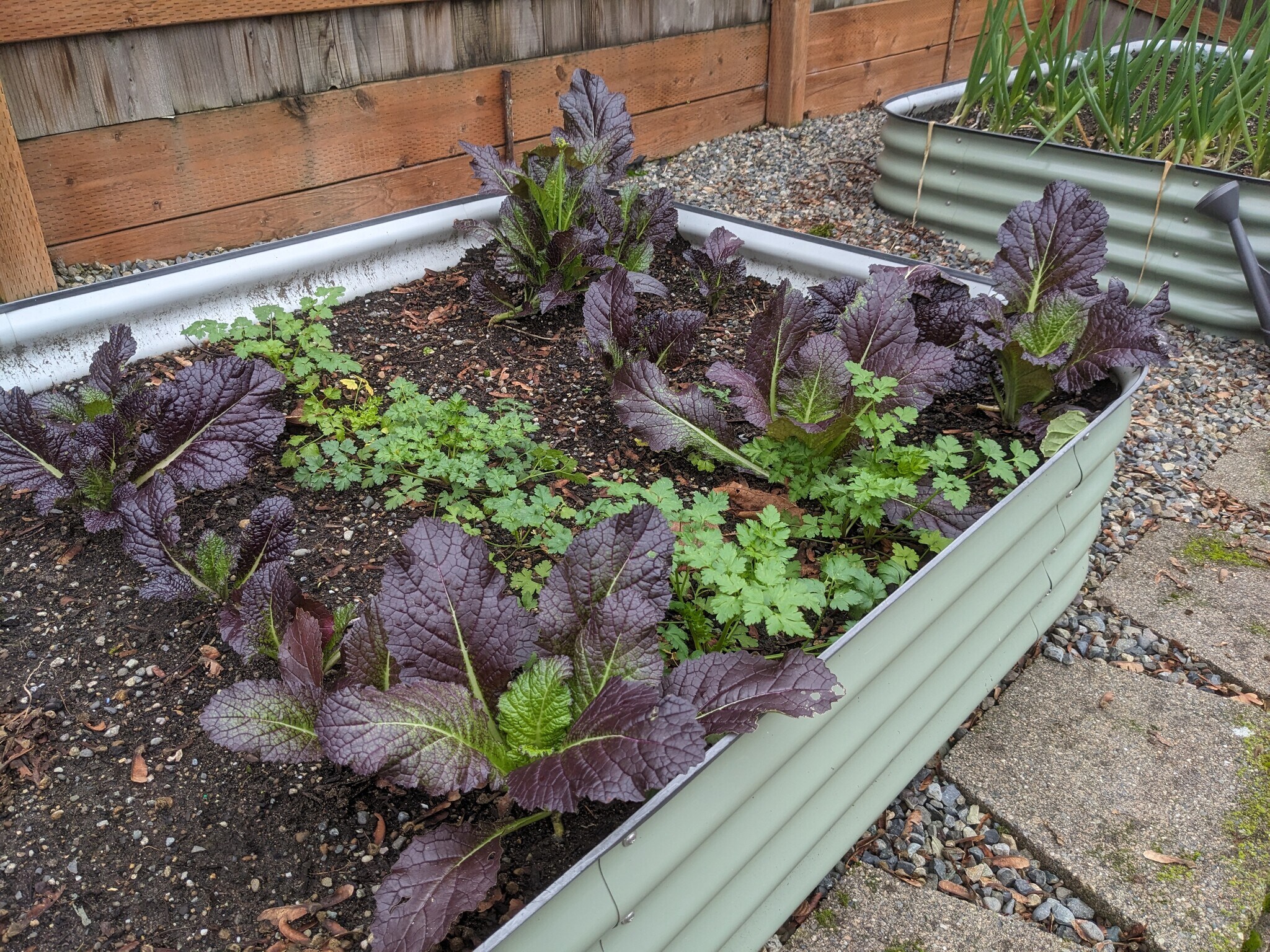 One of three included garden beds - 4406 34th Ave S