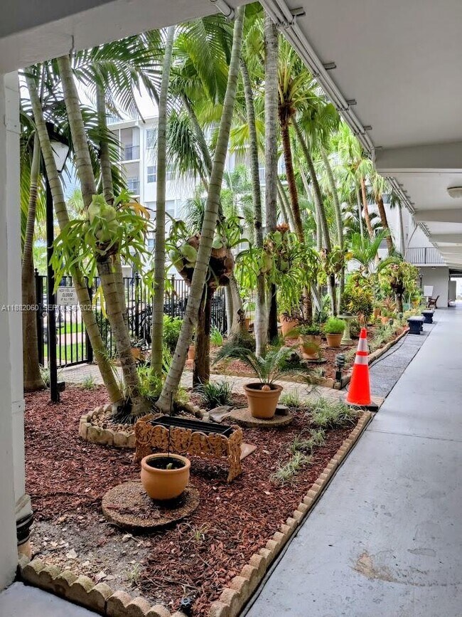 Building Photo - 4117 Bougainvilla Dr