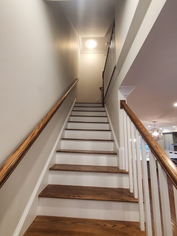 Building Photo - 47 Coffey St