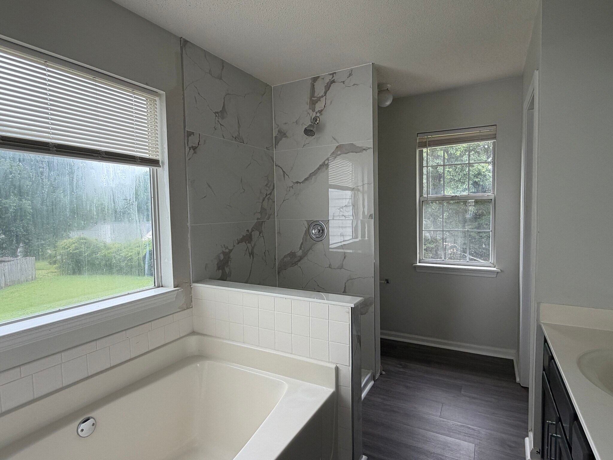 Master bath tub and shower - 14204 Lavender Trace Ct