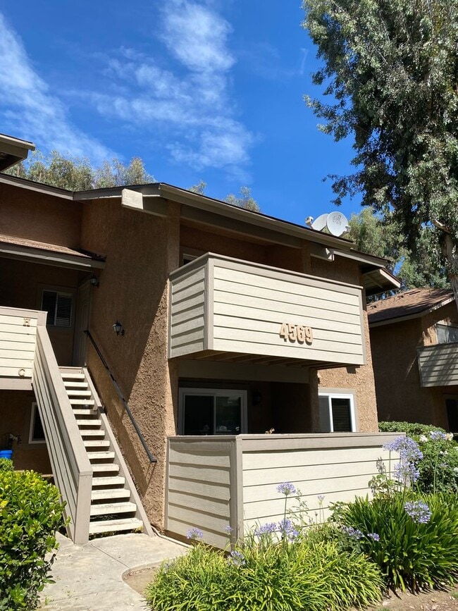 Primary Photo - 1 Bed, 1 Bath Alamo Villas Condo