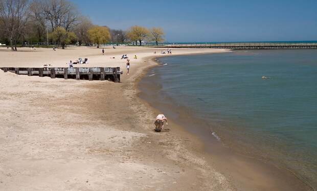 1 blk lake to Rogers Park Beach - 1432 W Jonquil Terrace