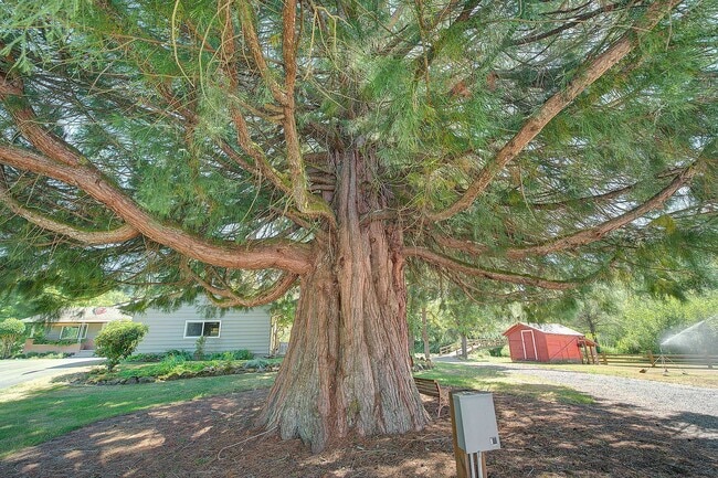 Building Photo - 3bd/2ba Issaquah House