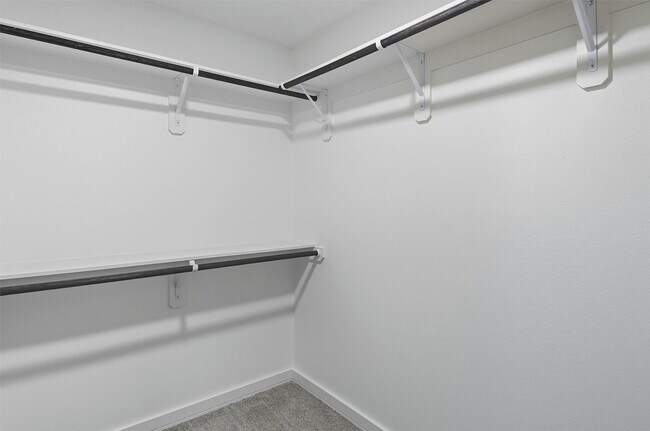 Building Photo - 2927 El Fenice Ln