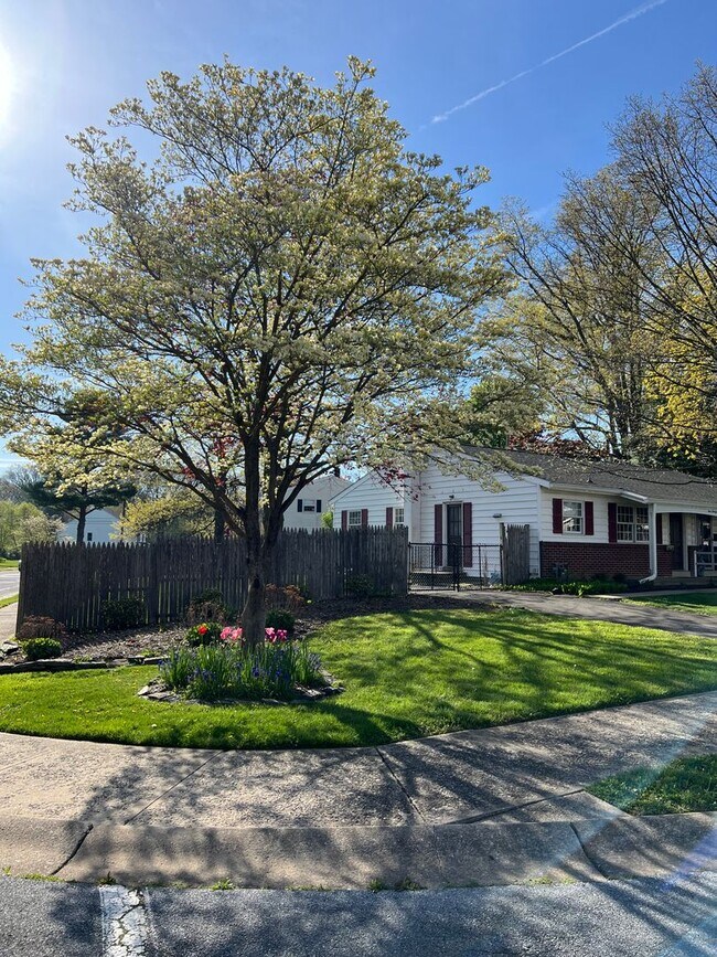 Building Photo - Beautiful 3 BD, 1 BA Lititz Home!