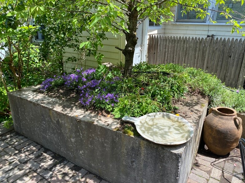 Building Photo - 90 Chandler St