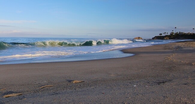 Building Photo - Virginia Way - Mohajer Unit A