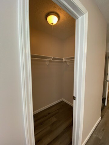 Building Photo - 1818 Morecott Dr