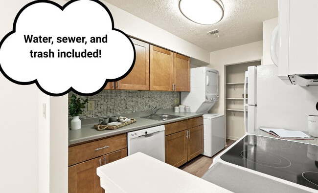 Contemporary Kitchen Style - Pikeview Manor Apartments