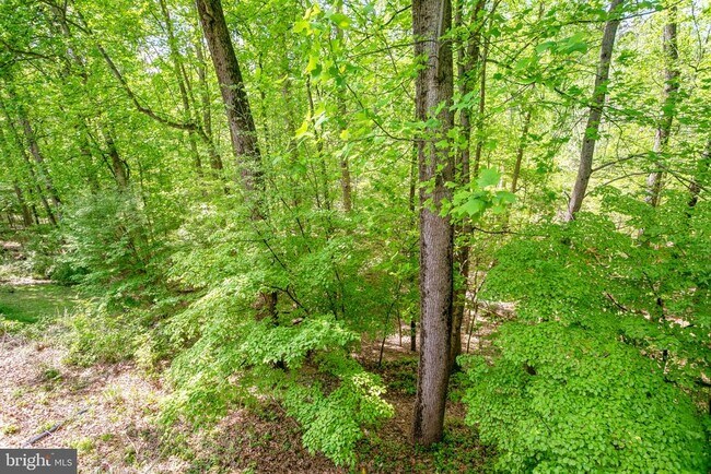 Building Photo - 11434 Cedar Ridge Dr