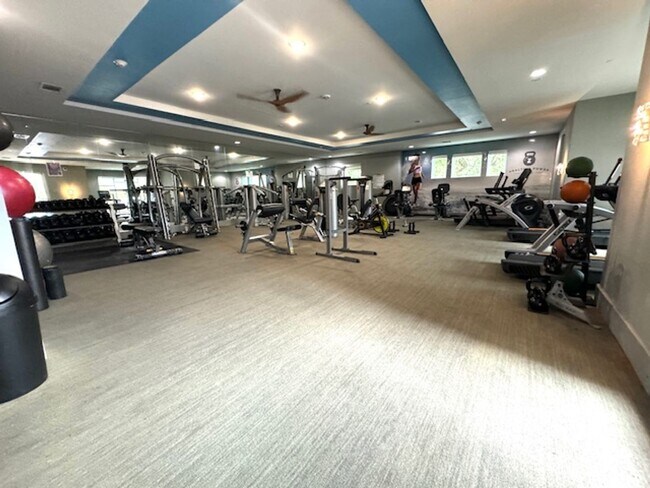 Building Photo - Luxurious Penthouse Studio condo at Zilker