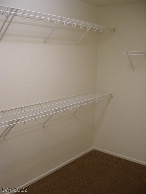 Building Photo - 4225 English Walnut Ct