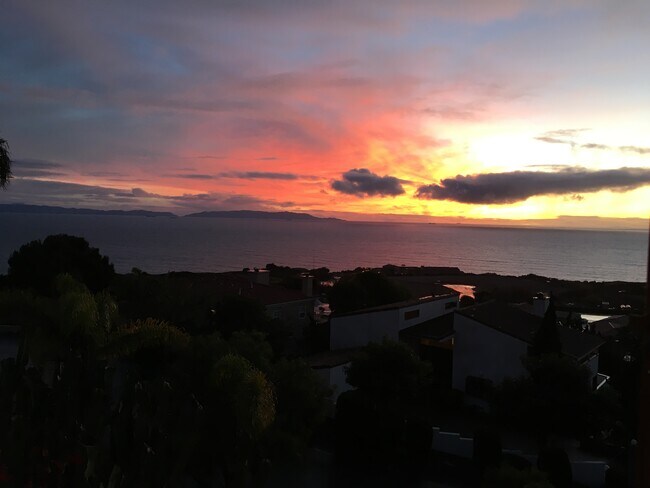 Building Photo - 32415 Aqua Vista Dr