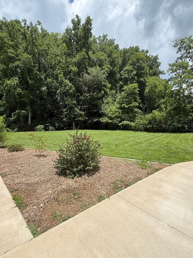 Building Photo - Updated 2 Bed 1 Bath Home in Mars Hill, NC!!