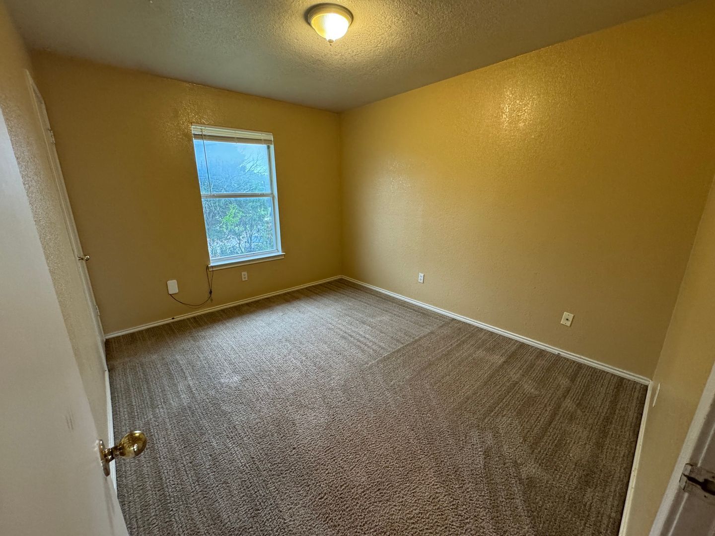 Building Photo - 1603 Cedarhill Dr
