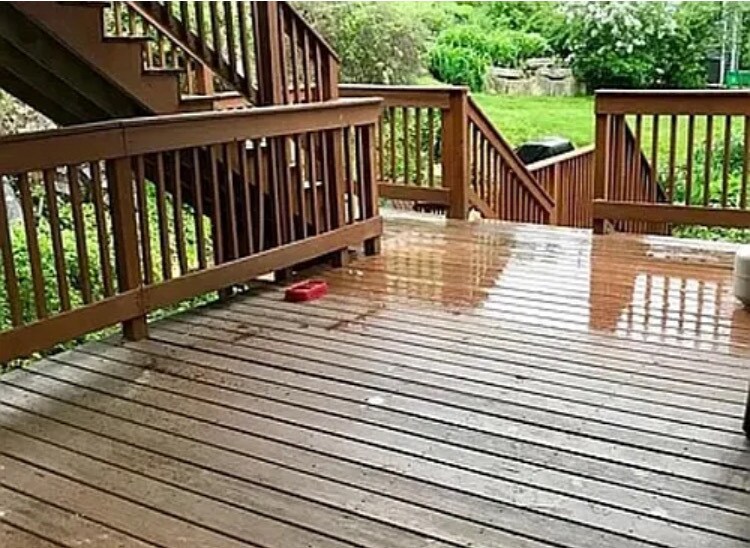 Building Photo - 12 Portland Ave