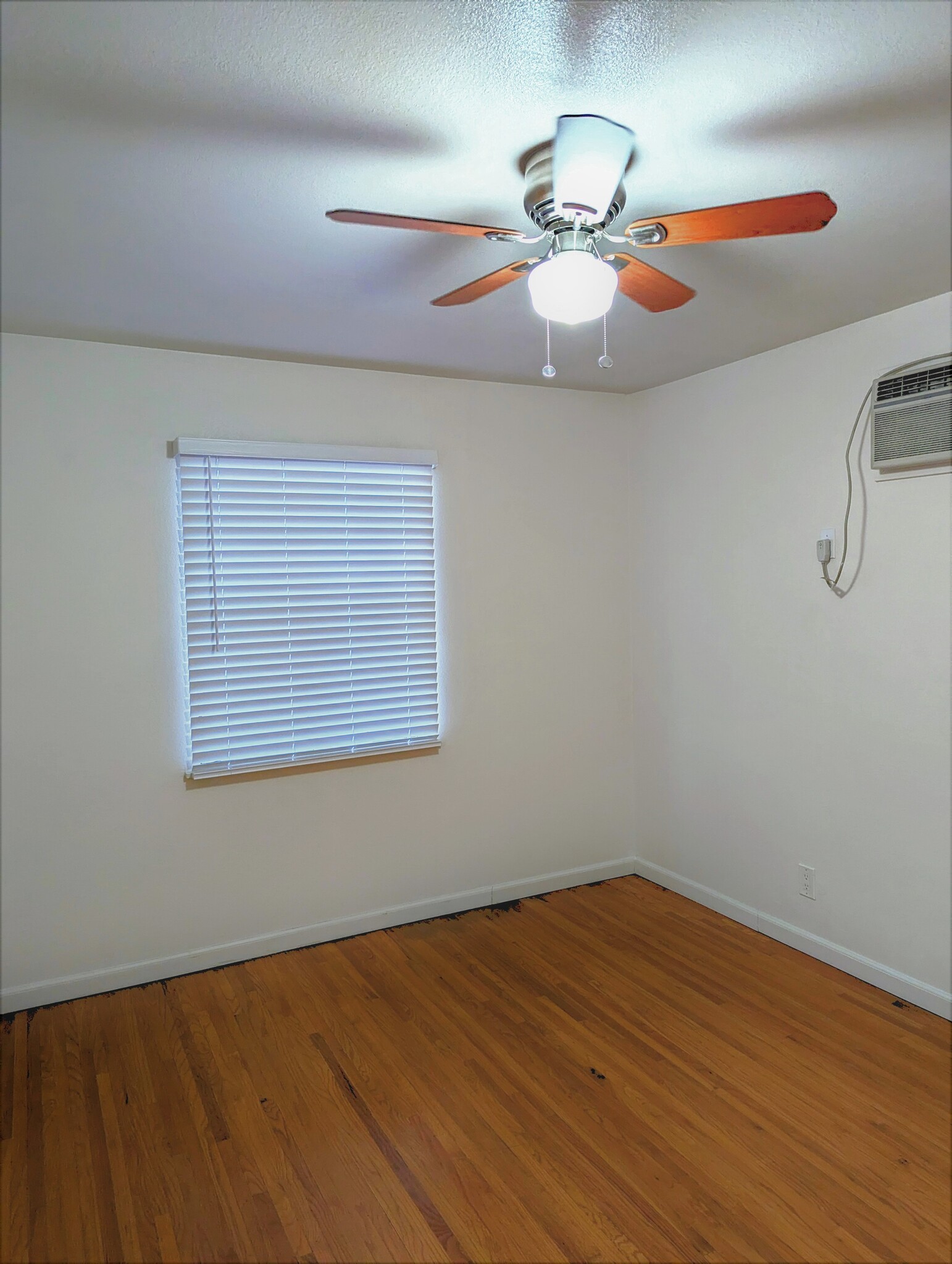 Fan and Air Conditioner in Every Room - 210 S Bushnell Ave