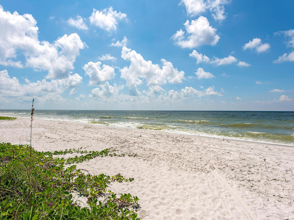 Private Park Shore Beach - 555 Park Shore Dr