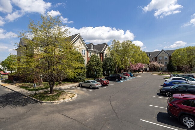 Building Photo - Maple Shade Mews