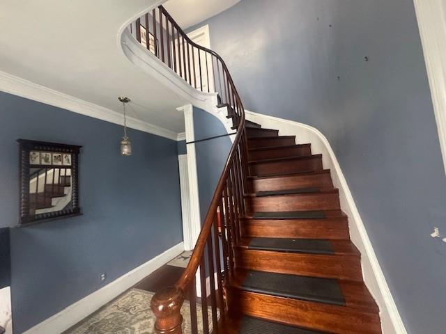 Building Photo - 52 Manning St