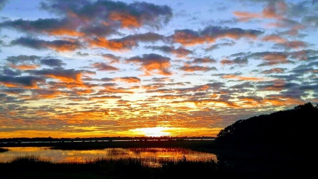 Building Photo - 31 Aledo Ct