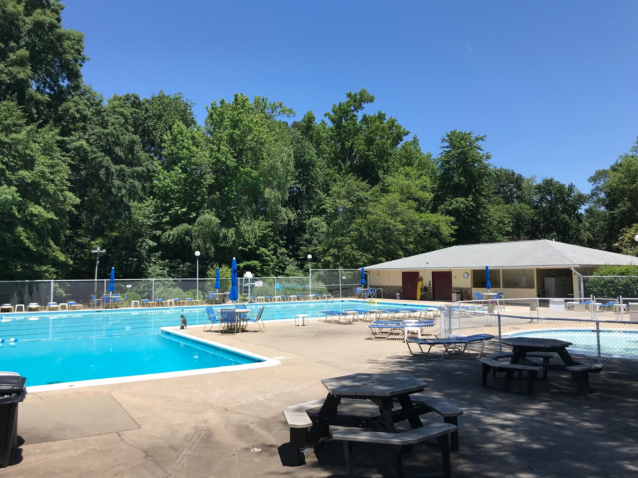 Pool - 1505 Stonewall Manor Dr