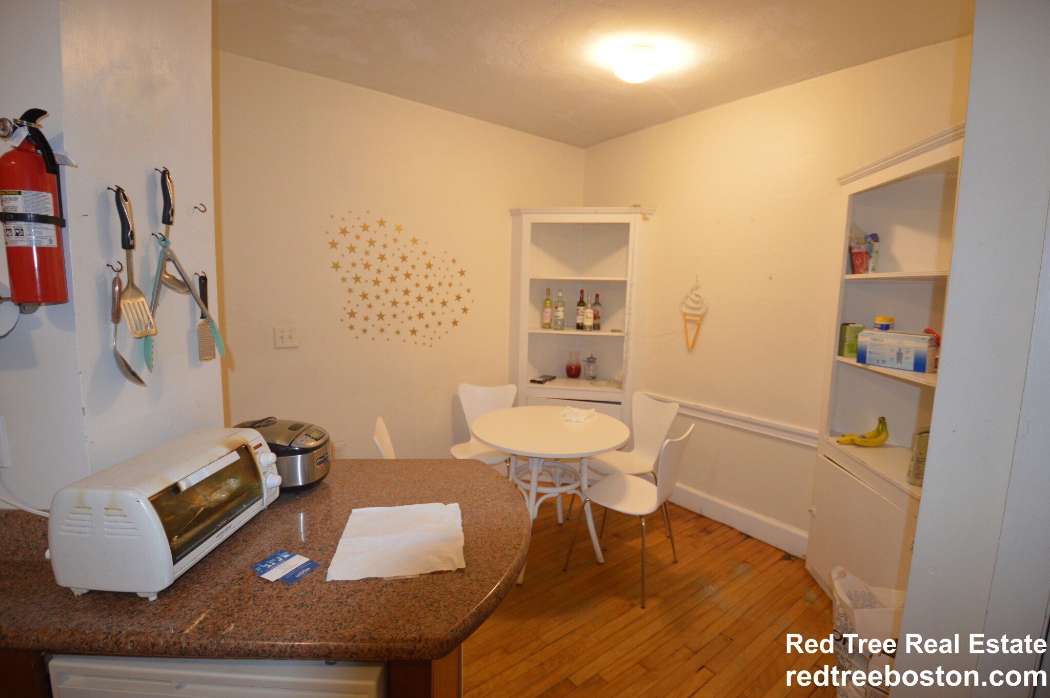 Building Photo - 66 Egmont St