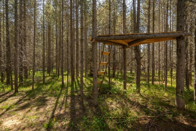 Building Photo - 3627 Bills Loop Rd