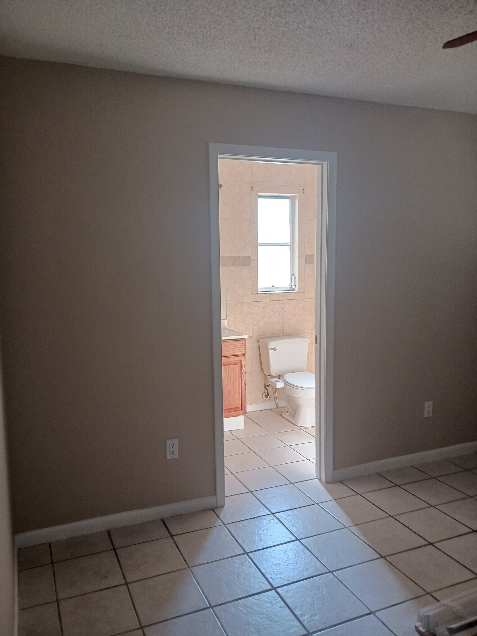 Building Photo - 4151 Pine Drop Ln