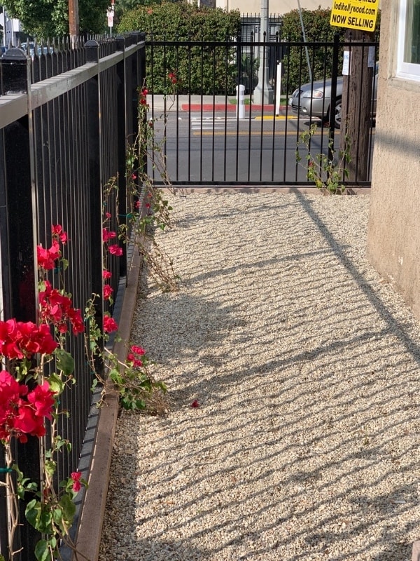 Building Photo - 6071 Lexington Ave