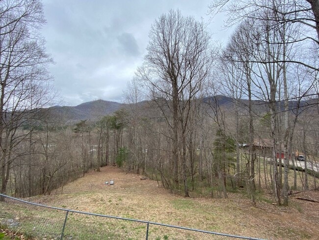 Building Photo - Black Mountain - Home Apartment, North Fork Rd, Utilities included