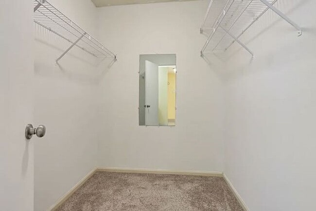 Building Photo - 12 Brown Thrasher Ct