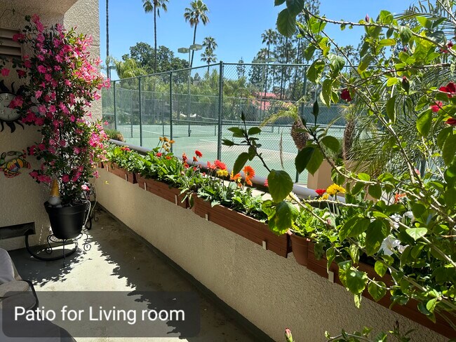 Large Patio - LivingRm side - 5565 Canoga Ave