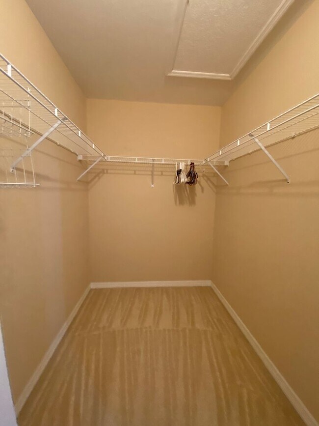 Building Photo - 2677 Blue Cypress Lake Ct