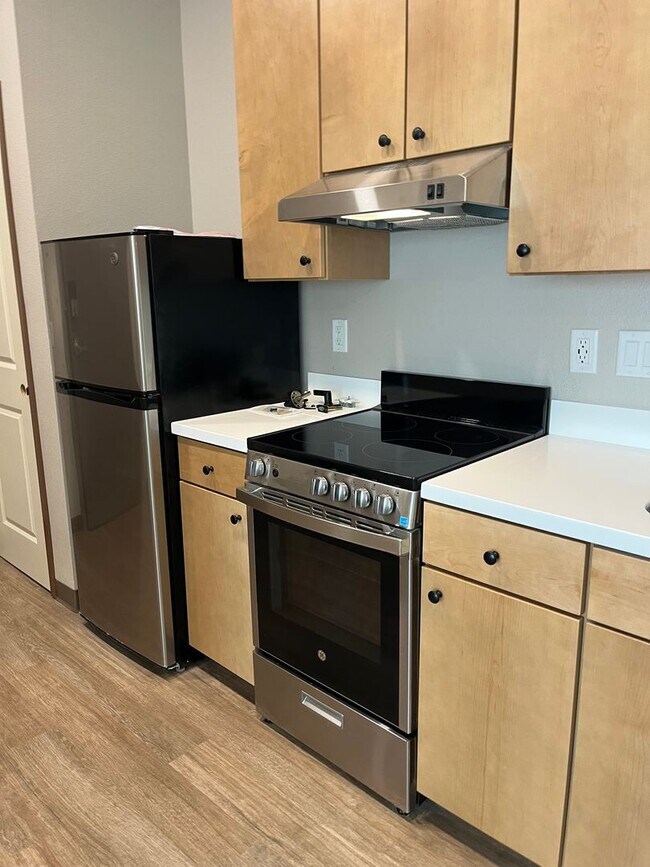 Building Photo - Beautiful, Cozy, Brand New Studio near CSU