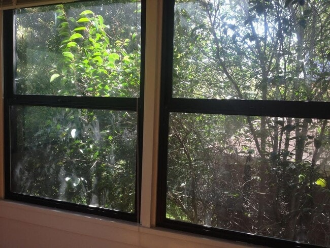 Building Photo - Big bedroom in cozy Single Family House walking distance to the Berkeley Campus. Gustavo Lopez AMSI