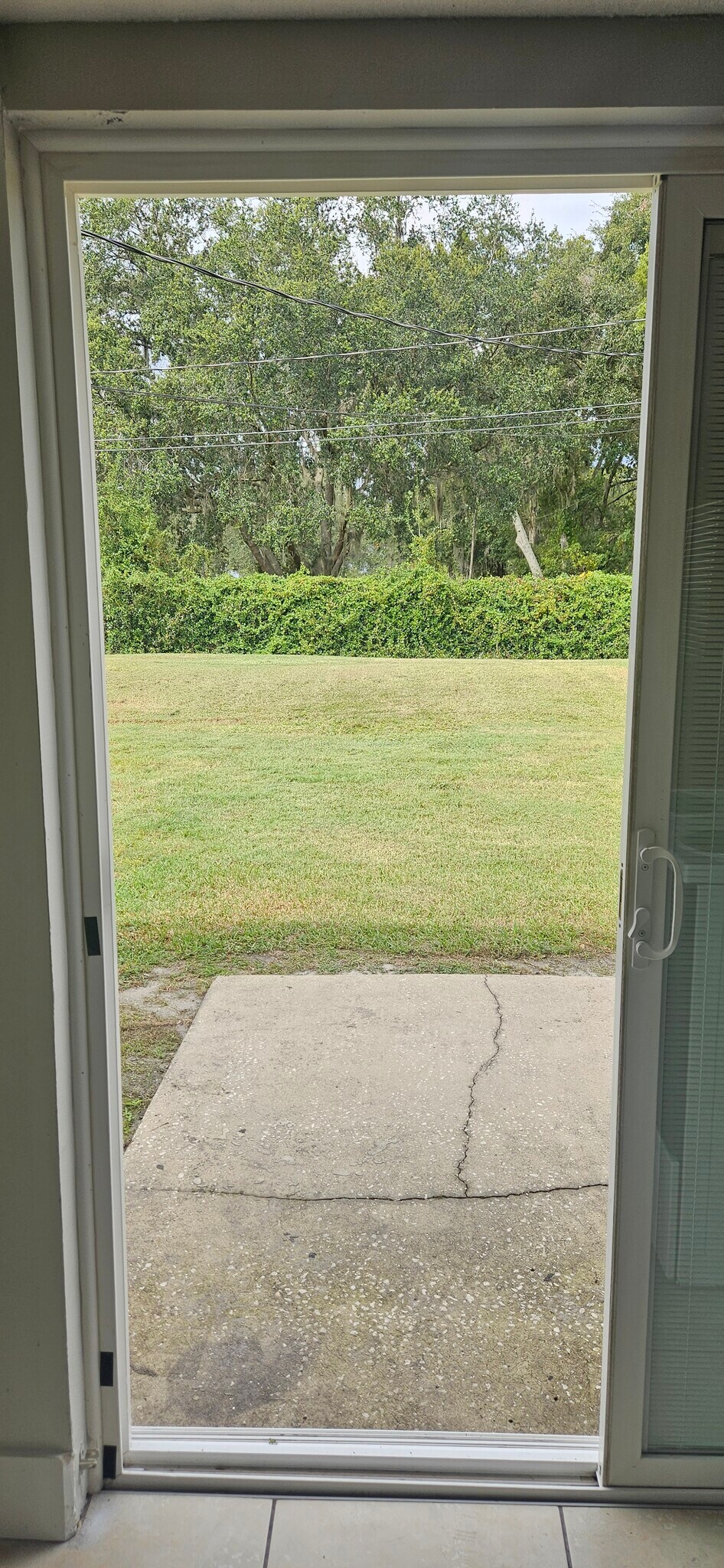 Backyard - 815 Trina Ln