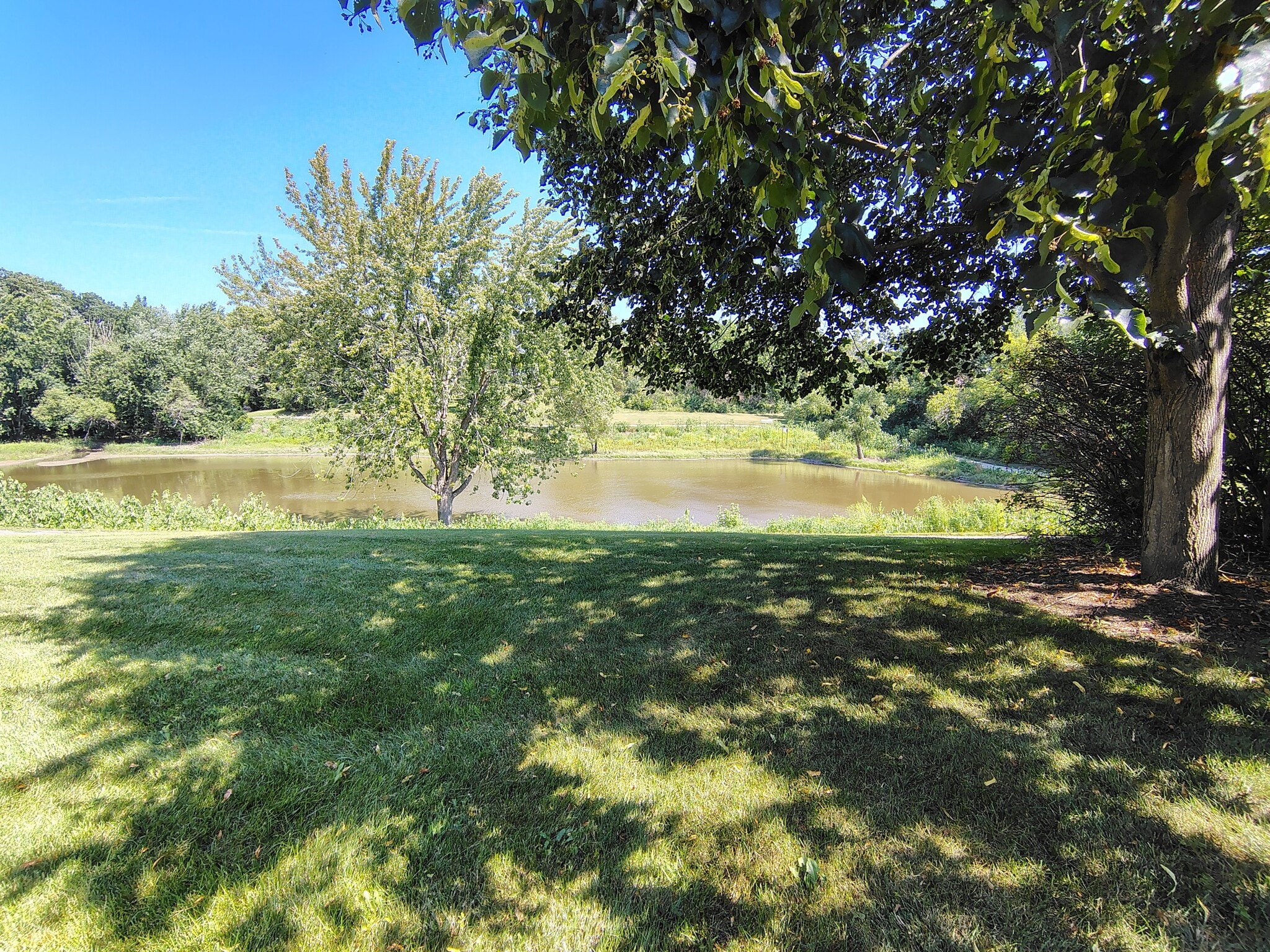 Building Photo - 667 Woodhaven Dr