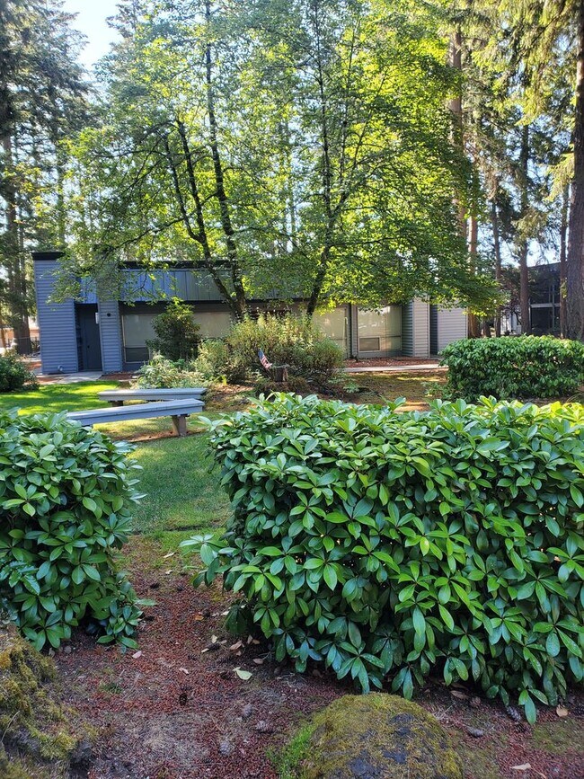 Building Photo - 2bd, 2 ba Condo in Oakbrook, Amenities! $1...