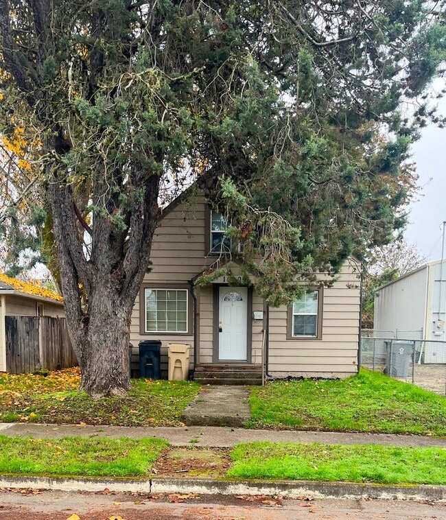 Primary Photo - Charming 2-bedroom, 1-bathroom in Downtown Albany!