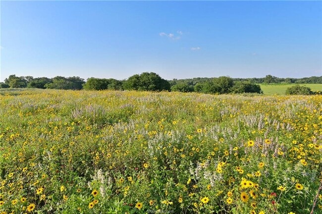 Building Photo - 7 acres with 5 bed, 3 bath less than 25 minutes from town!