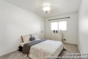 Building Photo - 11053 Cedar Park