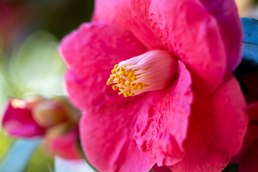 Building Photo - 2744 SW Sherwood Dr