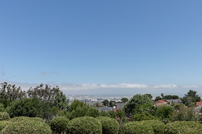 Building Photo - 380 Vallejo Dr